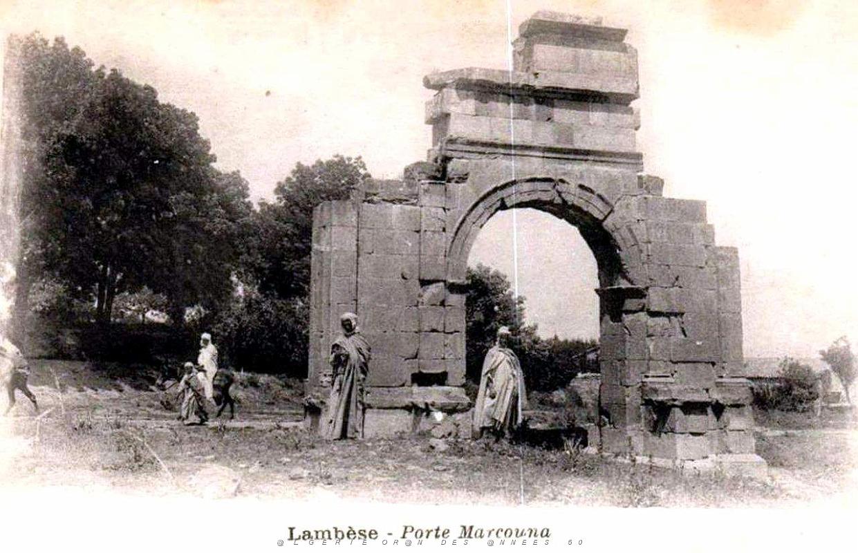 ALGERIE-RUINES ROMAINES DE LAMBESE (52).jpg